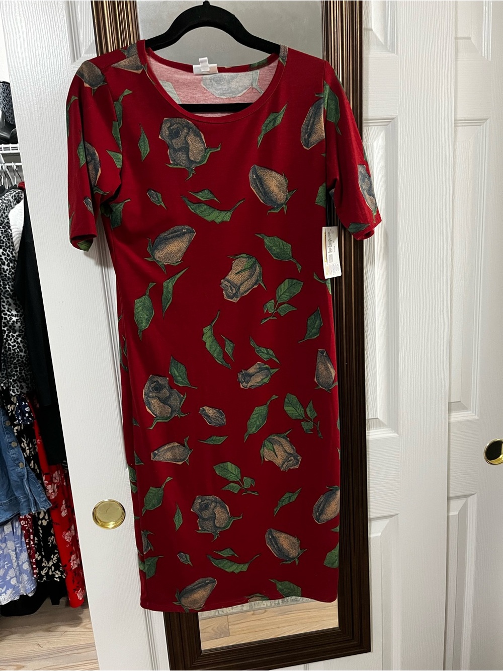 NWT Brand New Lularoe red dress with green leaf and floral print